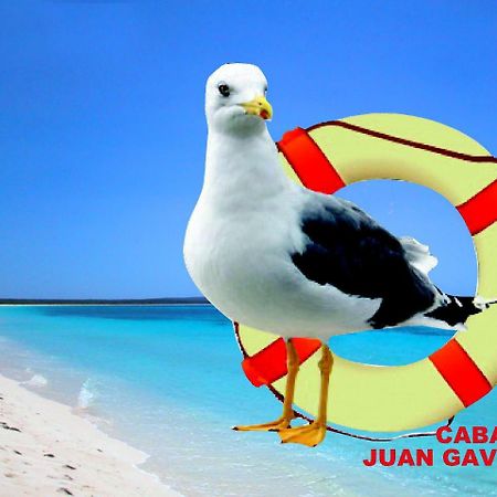 Cabanas Juan Gaviota Punta de Choros Kültér fotó