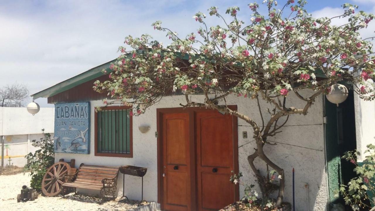 Cabanas Juan Gaviota Punta de Choros Kültér fotó