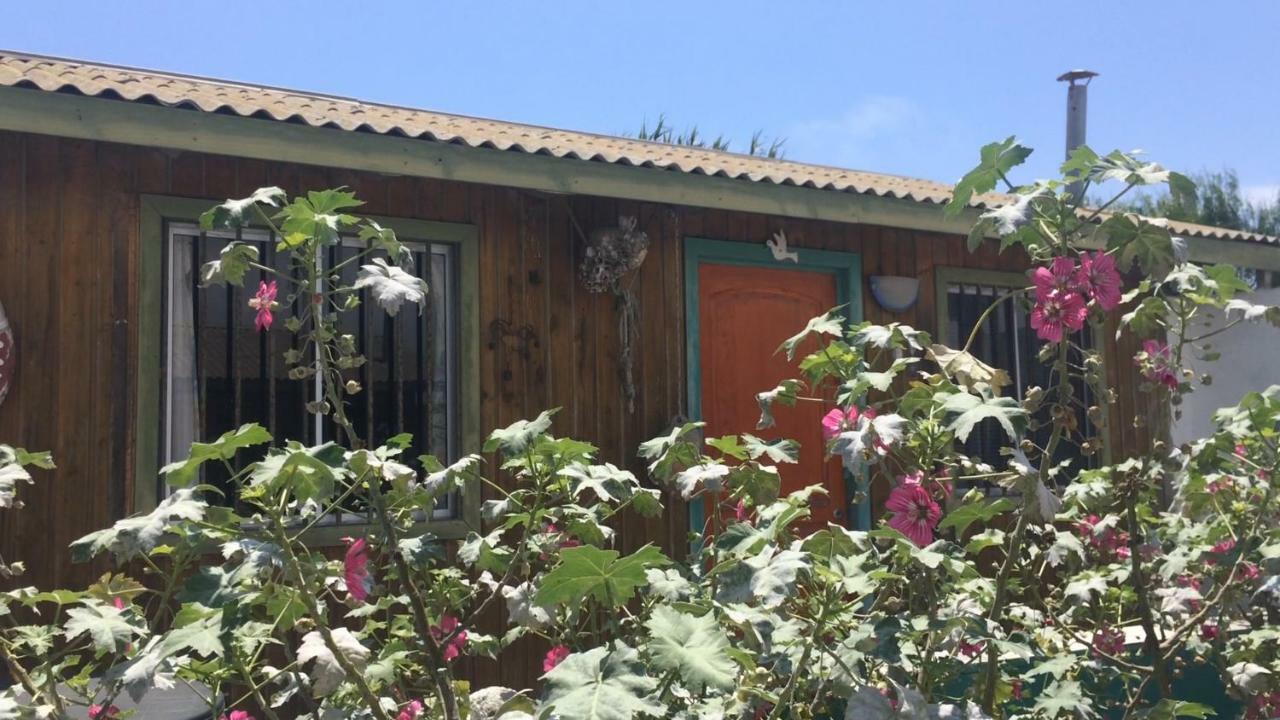 Cabanas Juan Gaviota Punta de Choros Kültér fotó