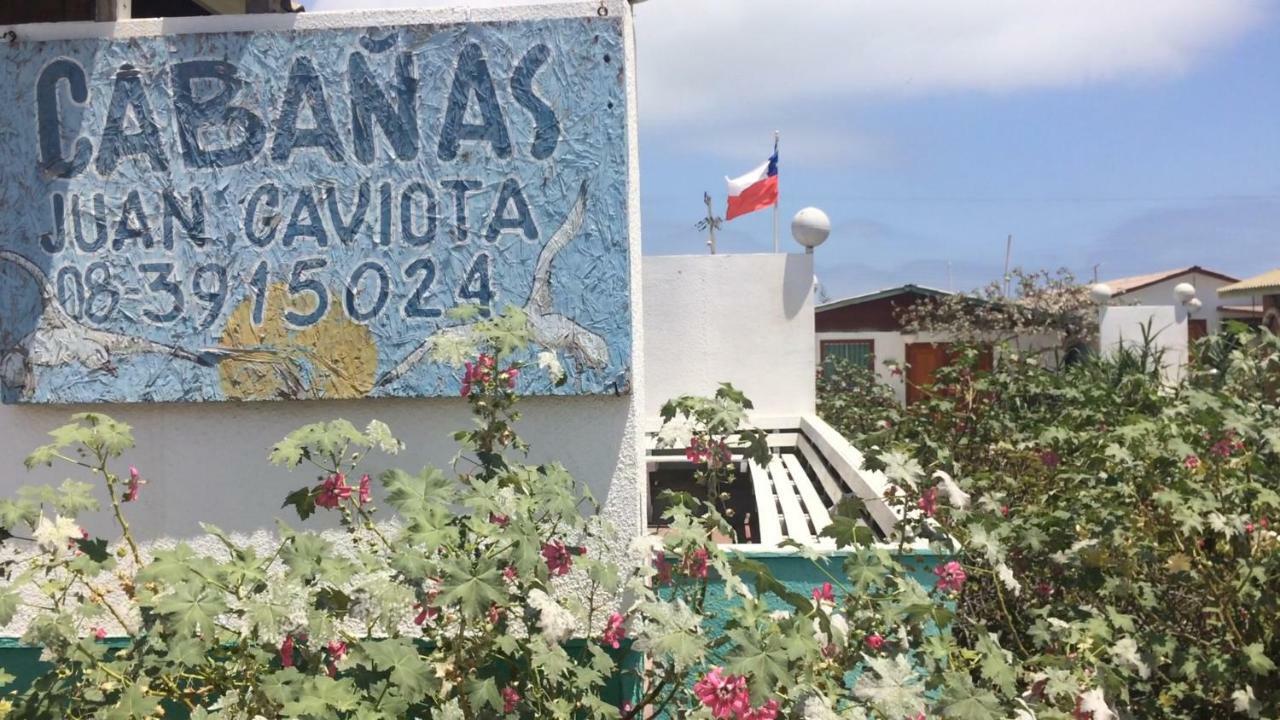 Cabanas Juan Gaviota Punta de Choros Kültér fotó