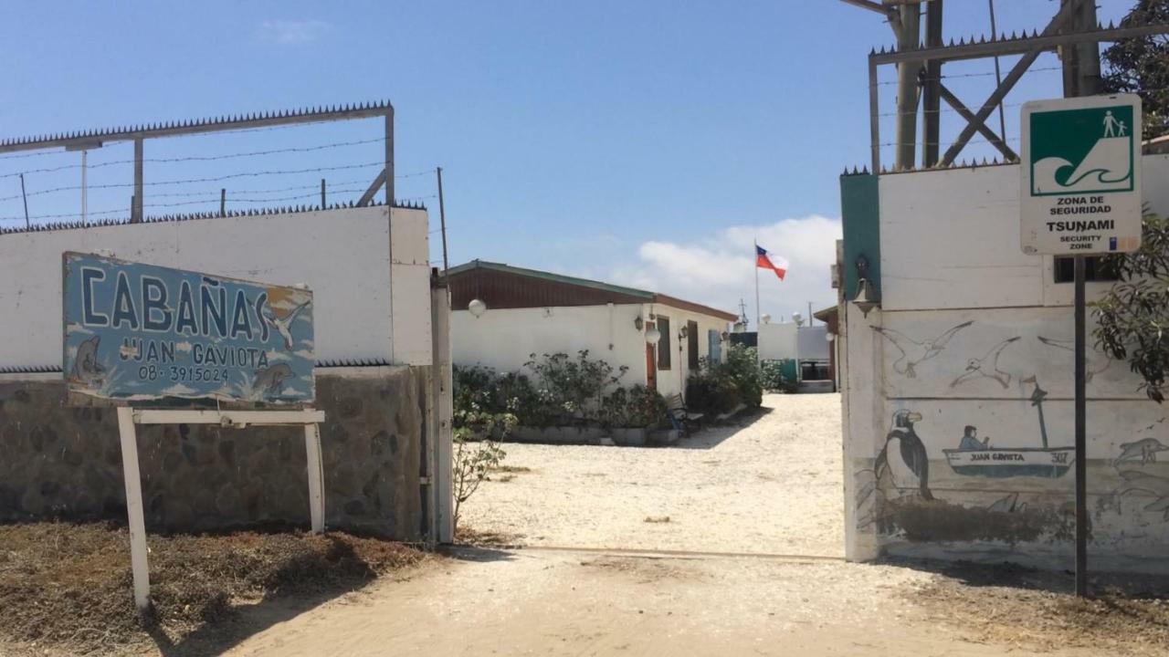 Cabanas Juan Gaviota Punta de Choros Kültér fotó