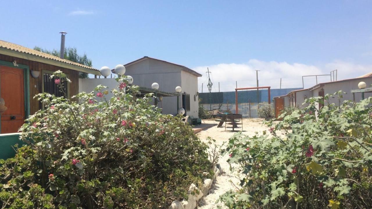 Cabanas Juan Gaviota Punta de Choros Kültér fotó