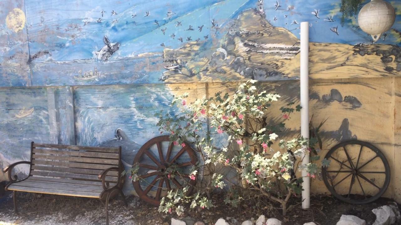 Cabanas Juan Gaviota Punta de Choros Kültér fotó