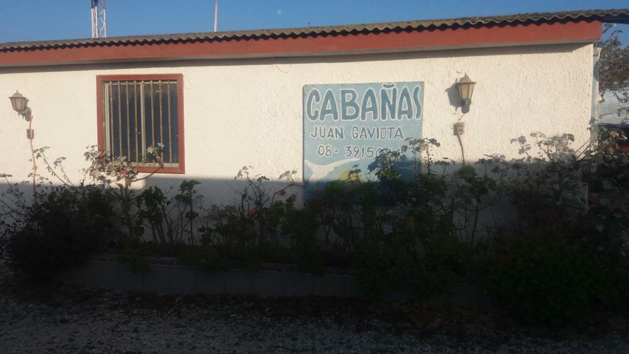 Cabanas Juan Gaviota Punta de Choros Kültér fotó