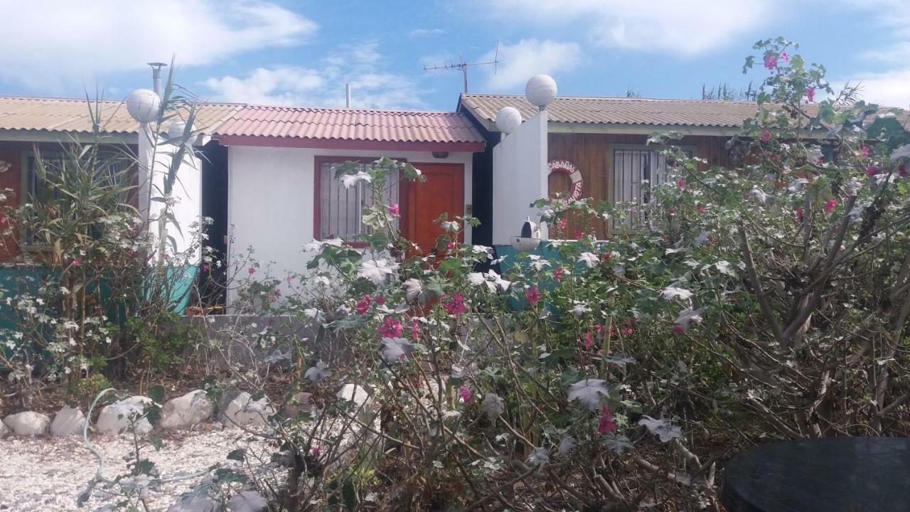 Cabanas Juan Gaviota Punta de Choros Kültér fotó