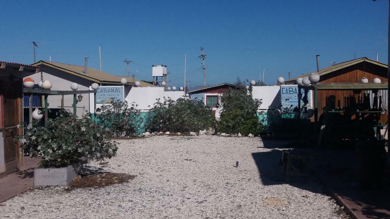 Cabanas Juan Gaviota Punta de Choros Kültér fotó